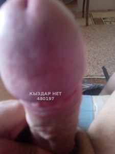 Жиголо Темиртау Анкета №480197 Фотография №3627934