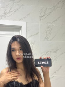 Транс Шымкента Транс№510673 Ailana Фотография №3812746