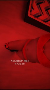 Проститутка Рудного Девушка№473325 Илонна Фотография №3822694