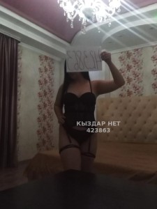 Проститутка Шымкента Анкета №423863 Фотография №3884708