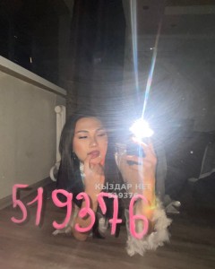 Транс Караганды Транс№519376 Арай Фотография №3886421