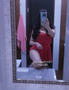 Проститутка Алматы Девушка№444195 Диля Фотография №3998538